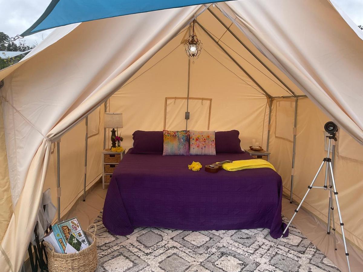 מלון הוואיאן אושן וויו Tiki Cabana מראה חיצוני תמונה